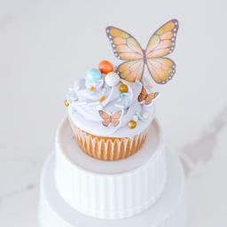 Butterfly Decorating Kit